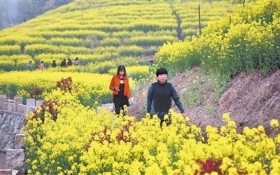 ������֯���罻������̤֯�� ���������г����򱻷�