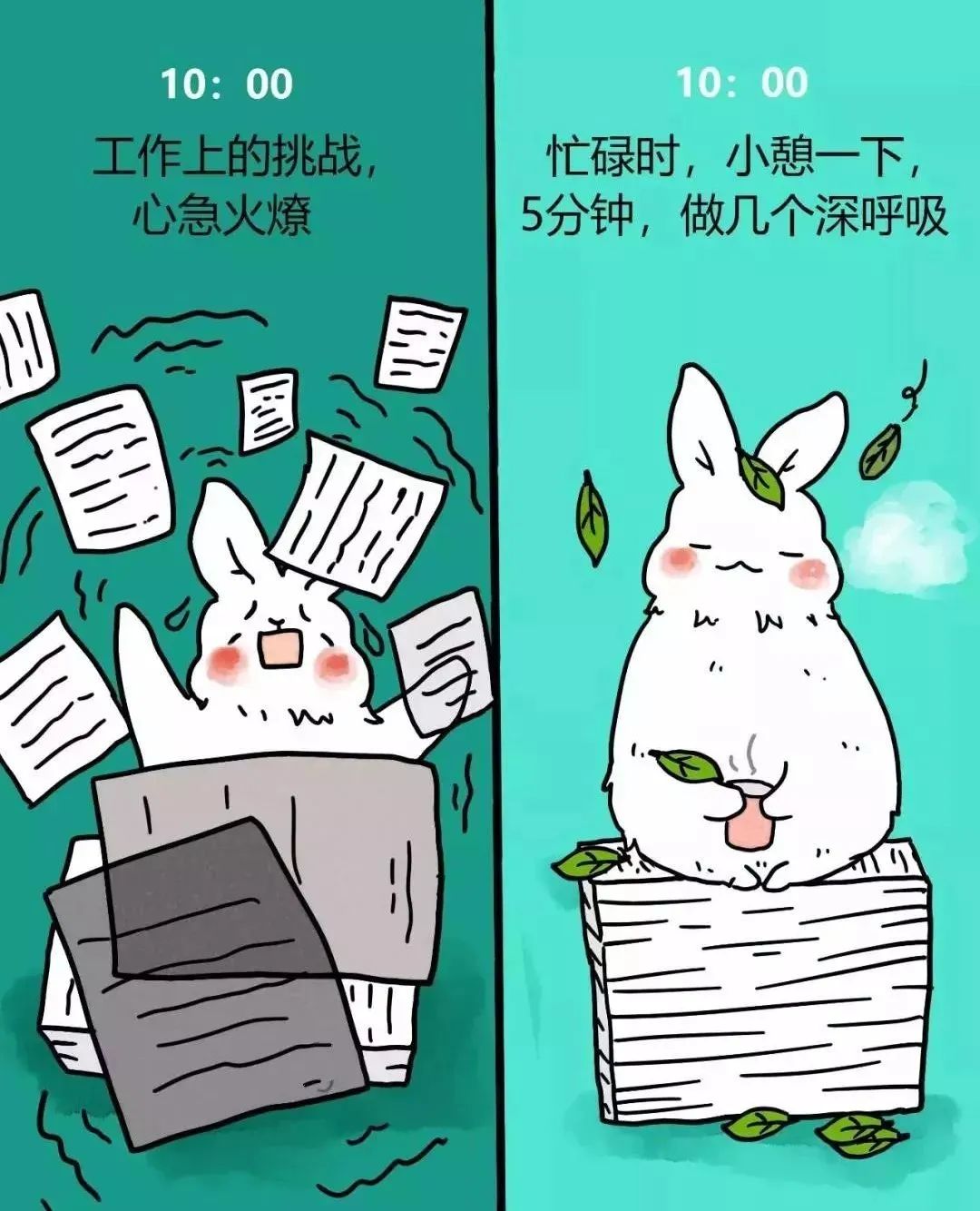 9b88149ff1c70a9ecc653c03eb0249a4.jpeg